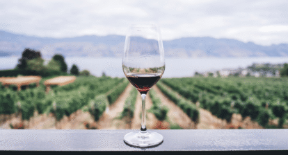 Guide til barbaresco