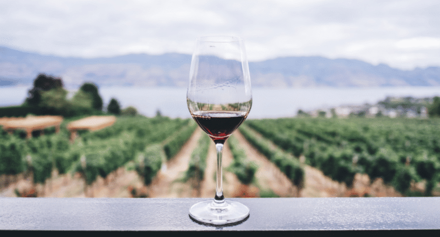 Guide til barbaresco