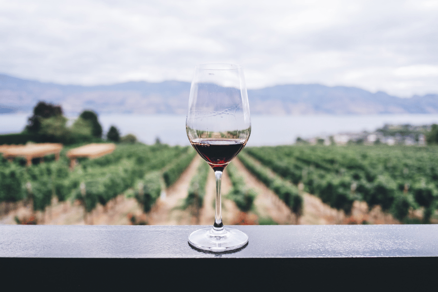 Guide til barbaresco