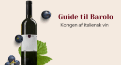 Guide til Barolo