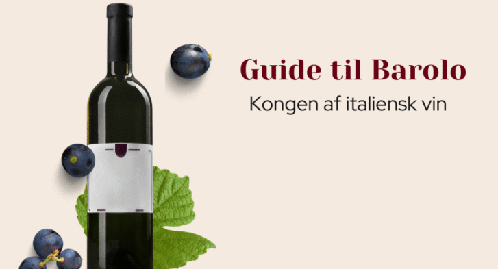 Guide til Barolo
