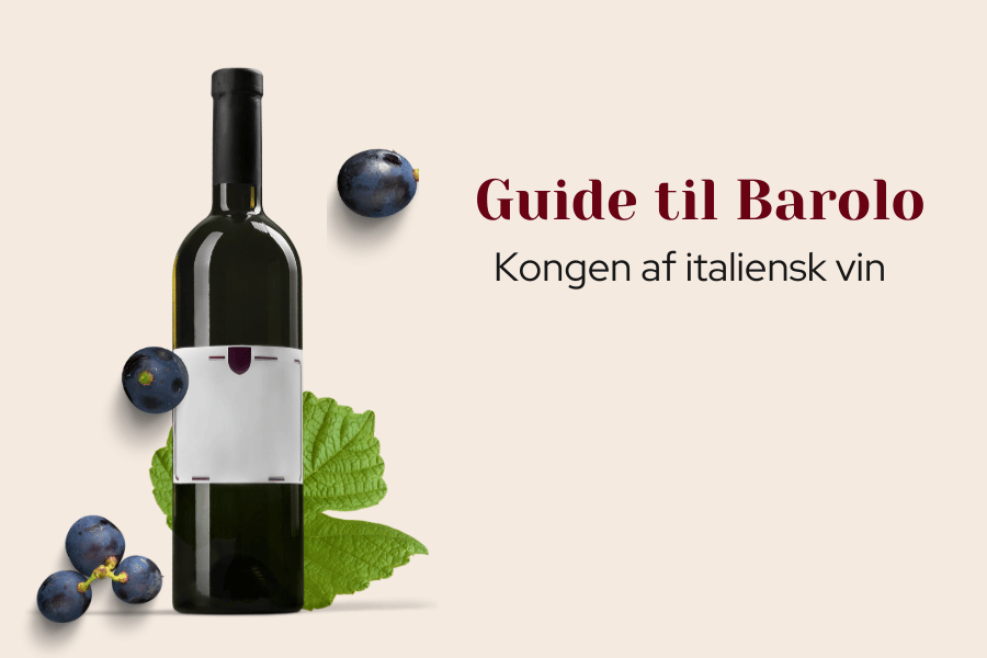 Guide til Barolo
