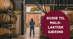 Guide til malolaktisk gæring