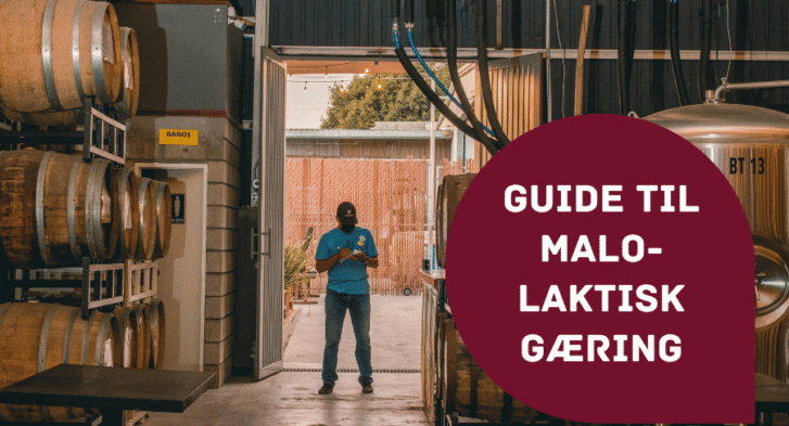 Guide til malolaktisk gæring
