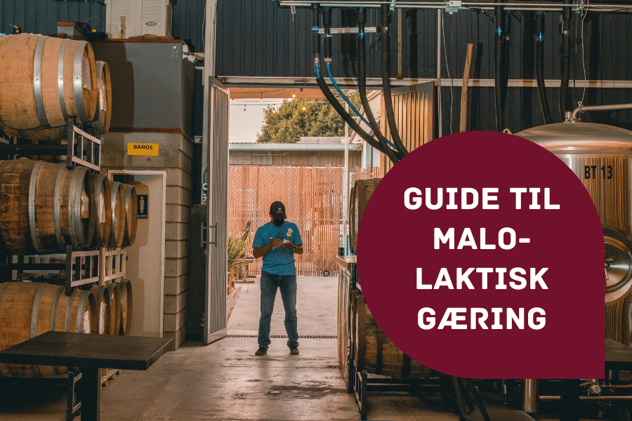 Guide til malolaktisk gæring