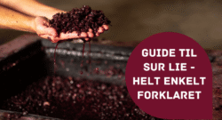 Guide til sur lie