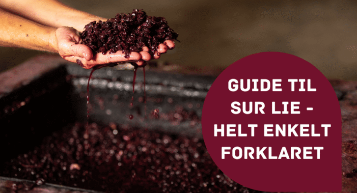 Guide til sur lie