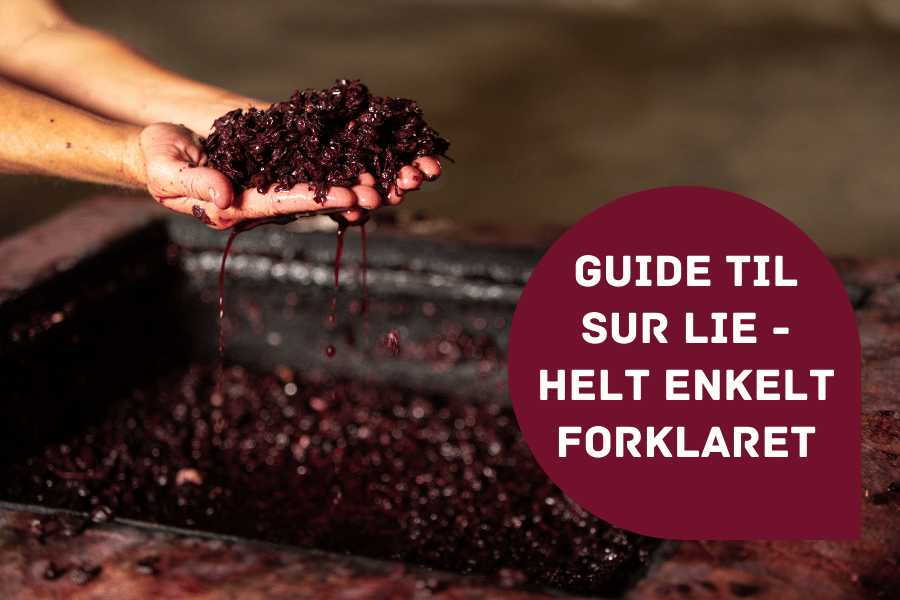 Guide til sur lie