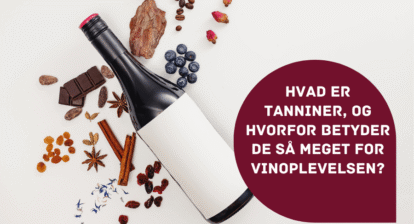 Hvad er tanniner?
