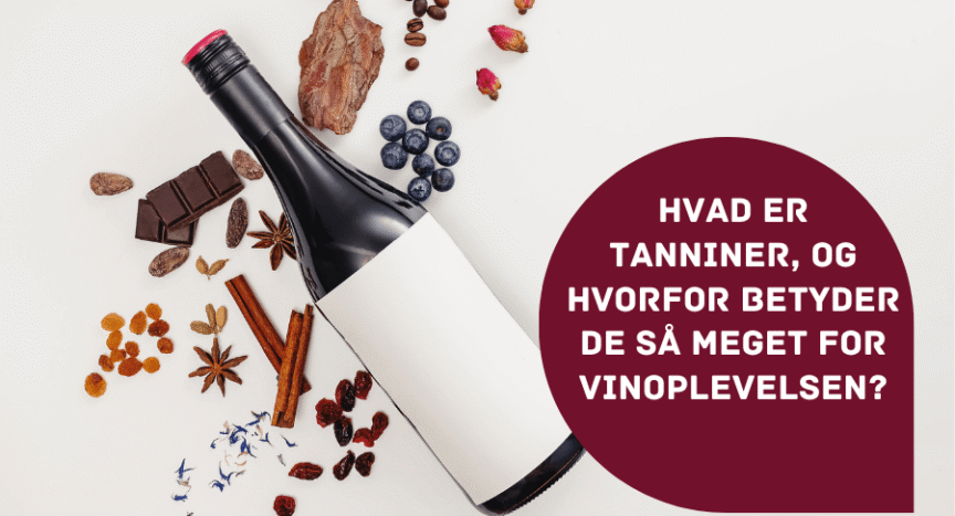 Hvad er tanniner?