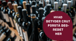 Hvad betyder Cru?