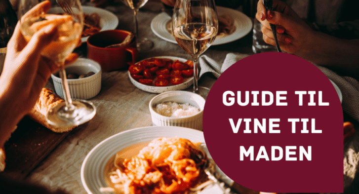 Guide til vine til maden