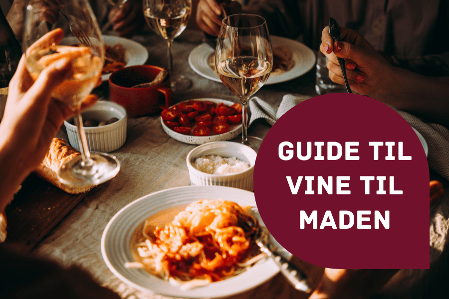 Guide til vine til maden