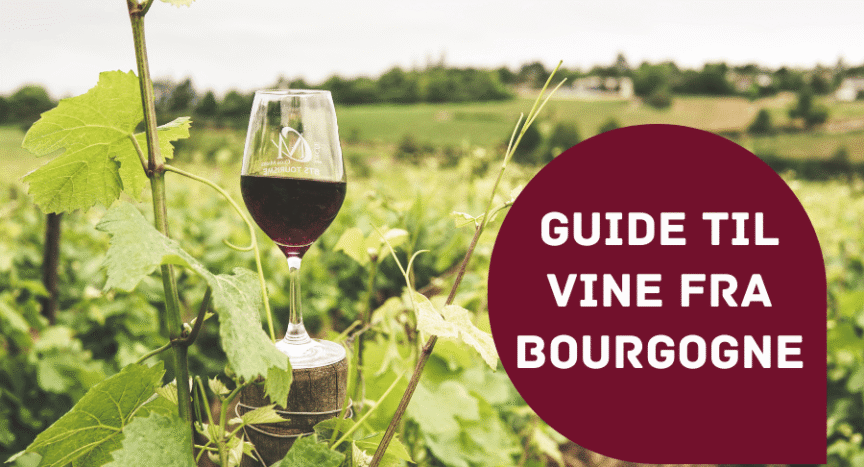 Guide til vine fra Bourgogne