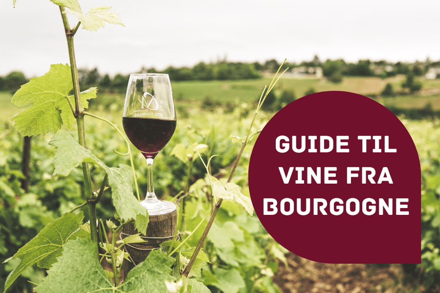 Guide til vine fra Bourgogne