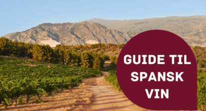 Guide til spansk vin