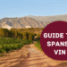 Guide til spansk vin