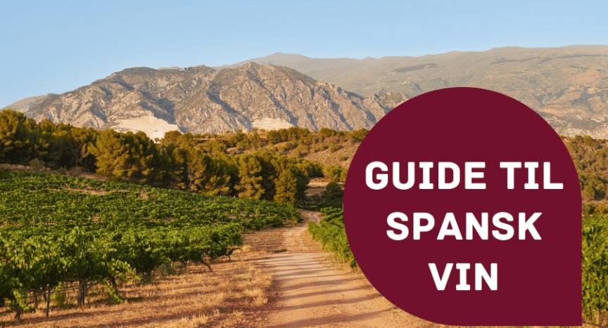 Guide til spansk vin