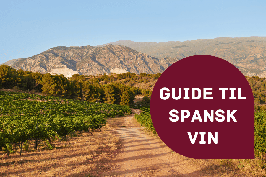 Guide til spansk vin