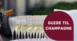Guide til Champagne