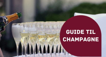 Guide til Champagne