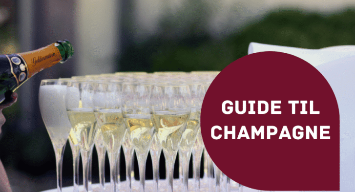 Guide til Champagne