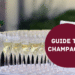 Guide til Champagne