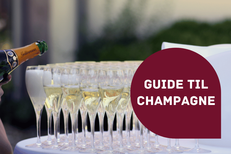 Guide til Champagne